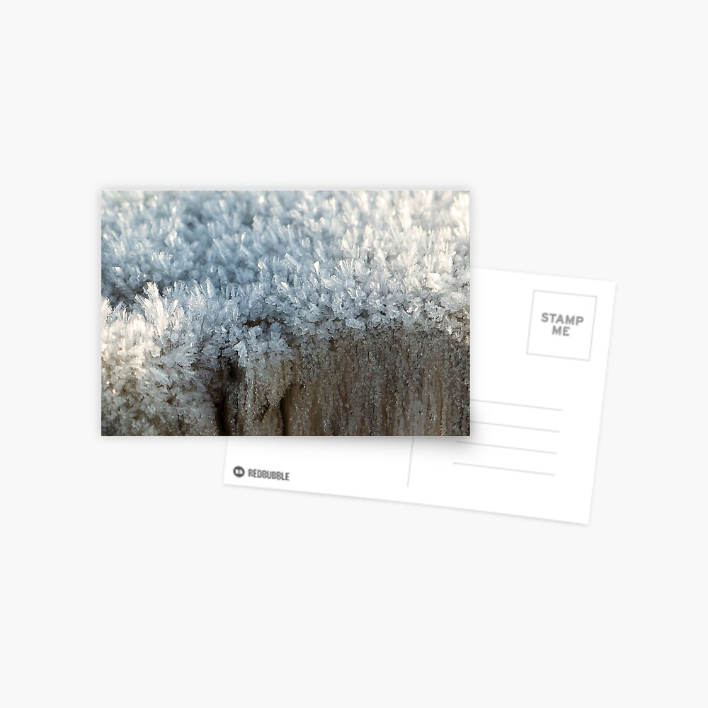 Item preview, Postcard designed and sold by steppeland.
