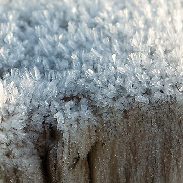 Artwork thumbnail, Fascinating ice crystals 3 by steppeland