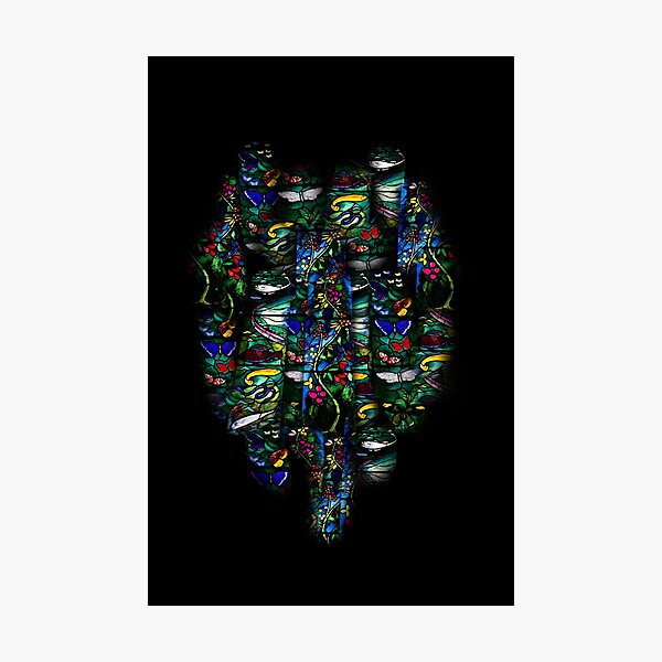 stained glass 2 Photographic Print