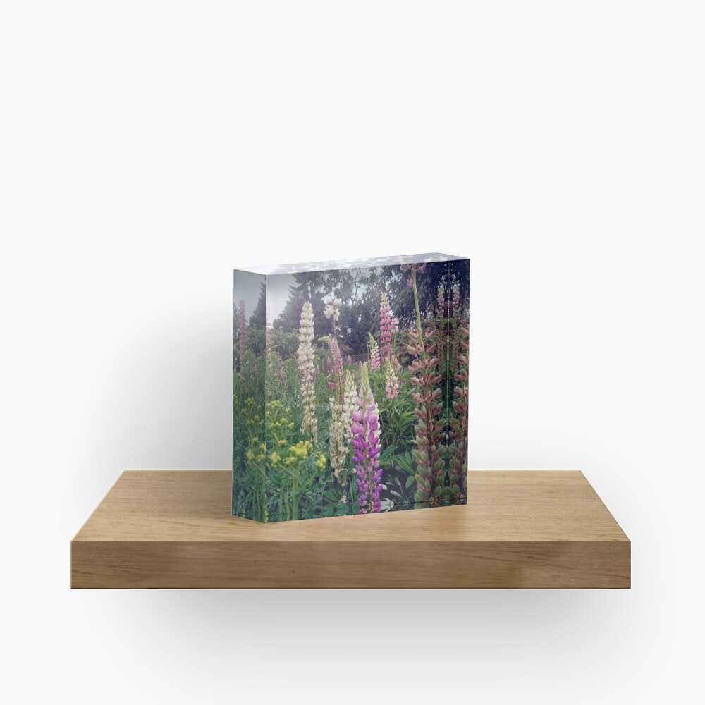 Lupinen Acrylblock