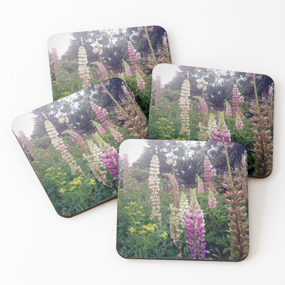 Lupinen Untersetzer (4er Set)
