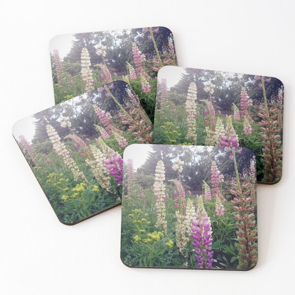lupins Coasters (Set of 4)