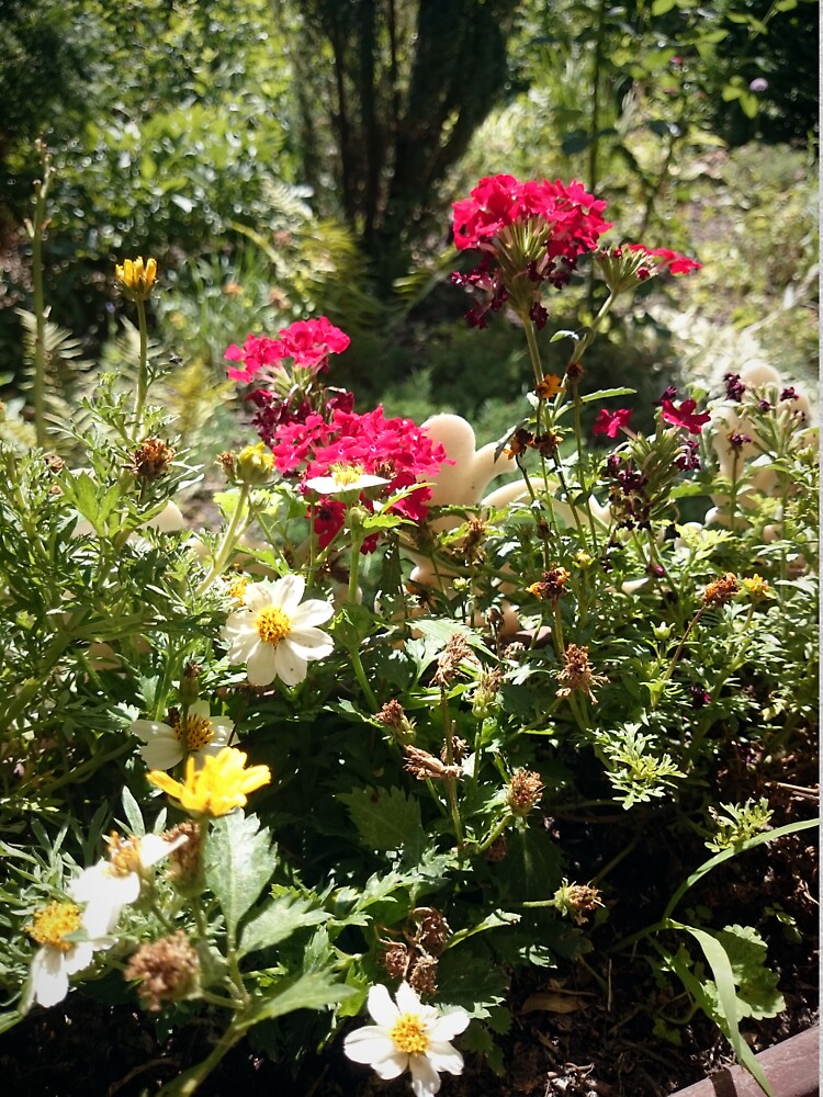 Blumen-Beet von Gourmetkater