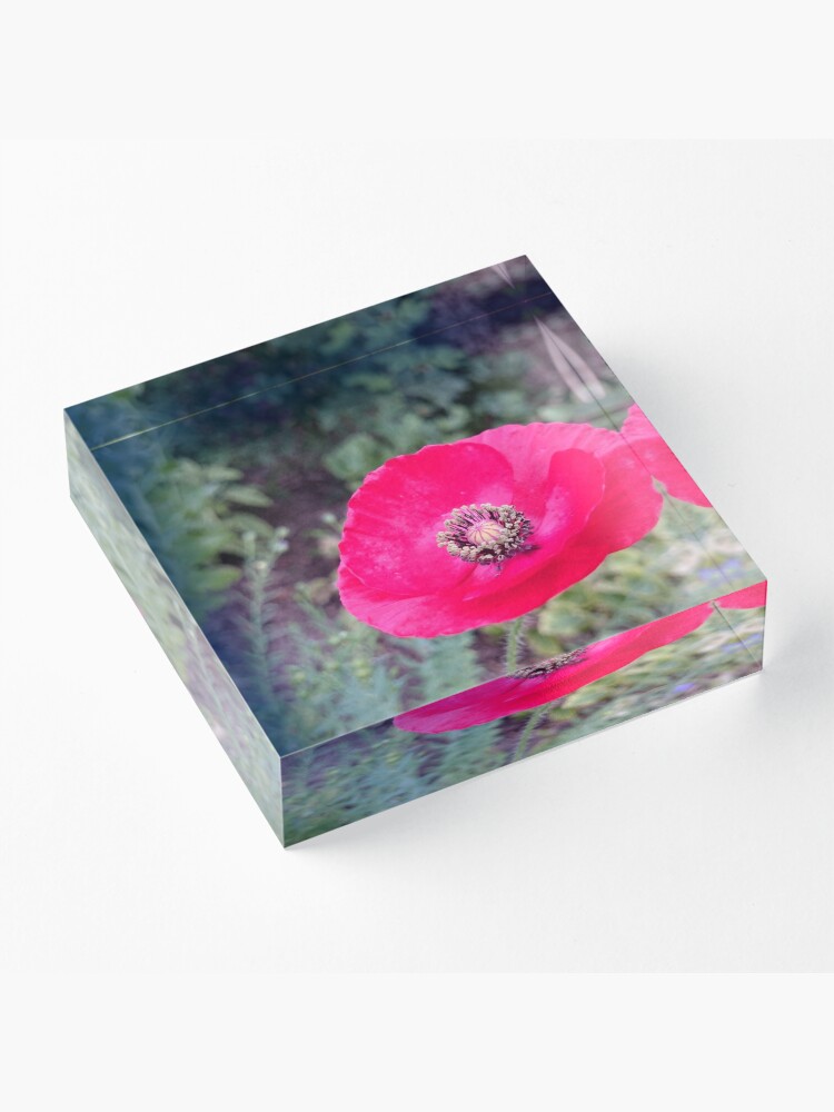 Alternative Ansicht von Roter Seidenmohn Acrylblock