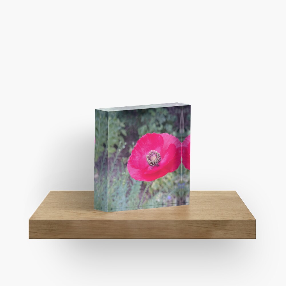 Roter Seidenmohn Acrylblock