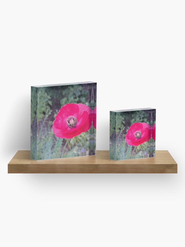 Alternative Ansicht von Roter Seidenmohn Acrylblock