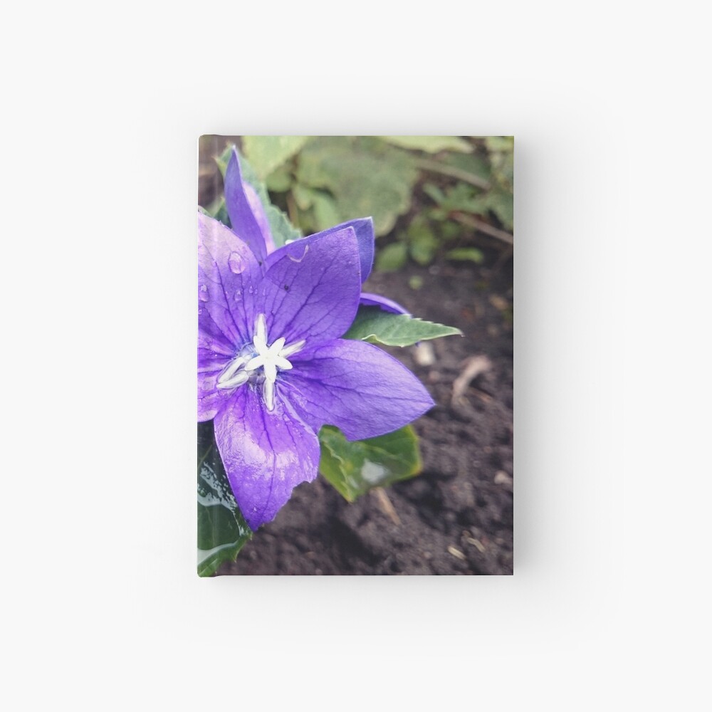 Ballonblume Notizbuch
