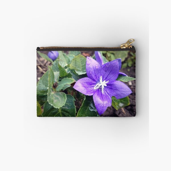 Item preview, balloon flower designed and sold by Gourmetkater.