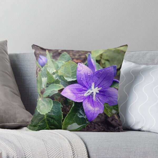 Item preview, balloon flower designed and sold by Gourmetkater.