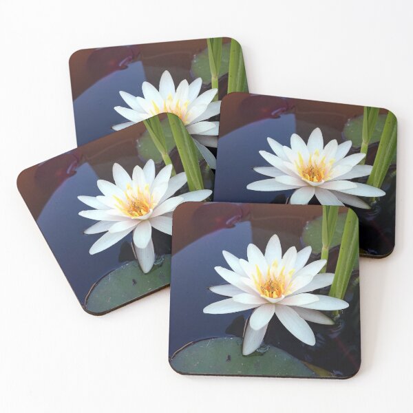 Item preview, water lily designed and sold by Gourmetkater.