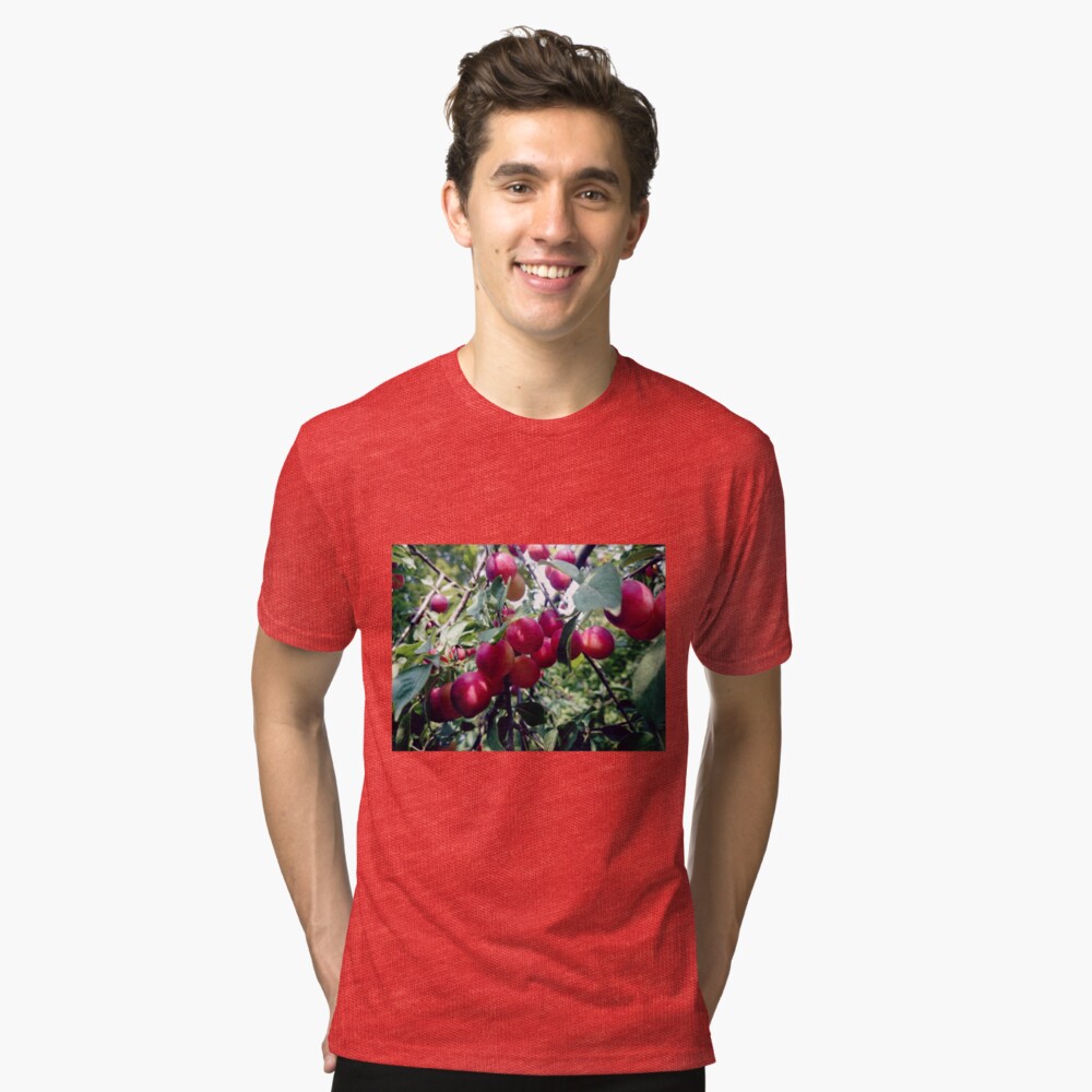 Mirabellen Vintage T-Shirt