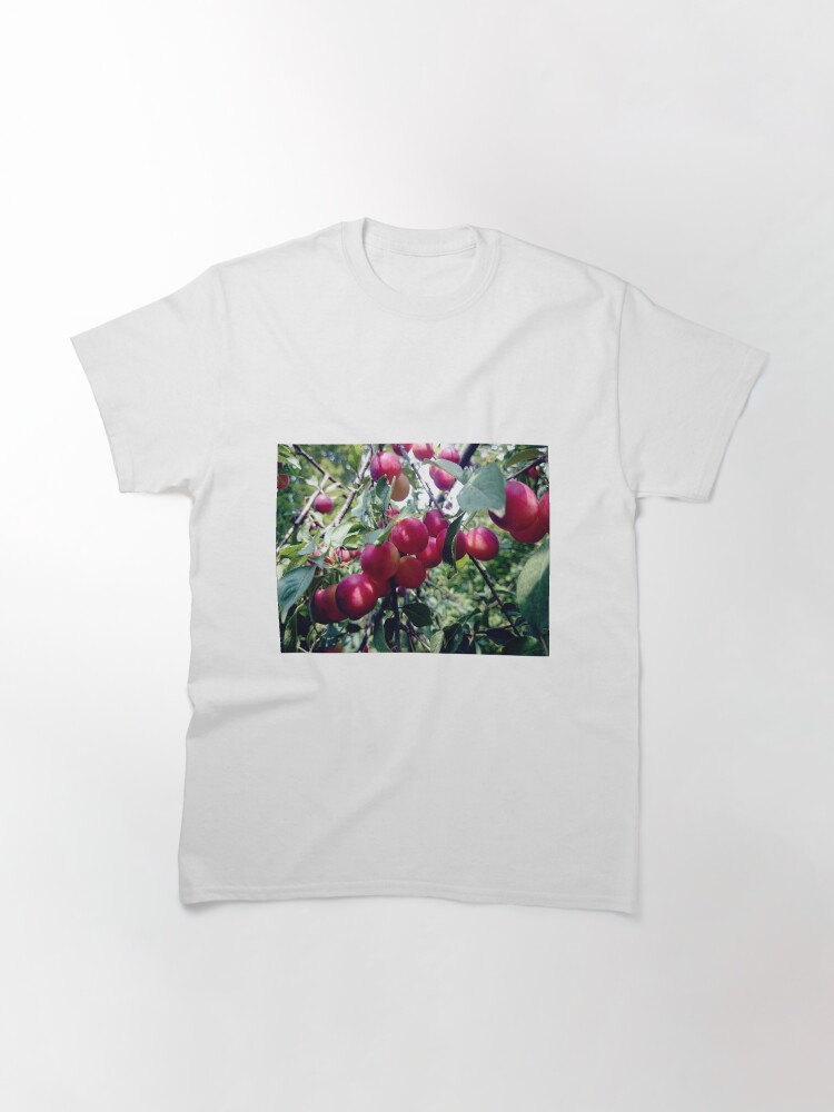 Alternative Ansicht von Mirabellen Classic T-Shirt