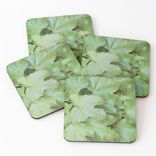 Item preview, Green Vine Leaves  designed and sold by Andykinoz.