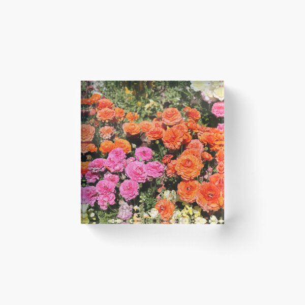 Item preview, Ranunculus Beauty designed and sold by loulouhere.