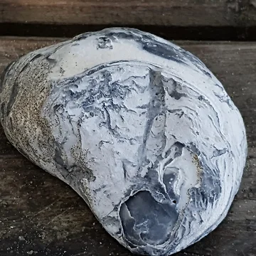 Artwork thumbnail, Shell by Naomi80