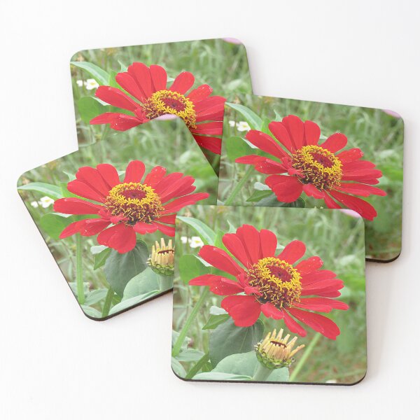 Item preview, Red Zinnia designed and sold by Linda Walsh.