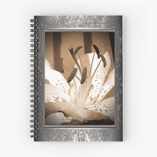 Item preview, Oriental Lily named Muskadet designed and sold by JMcCombie.