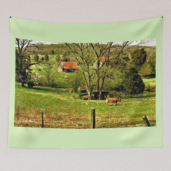 Item preview, "Slow... but Sure," Photo, for prints and products designed and sold by Bob Hall©.