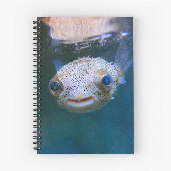 Artikelvorschau, Glücklicher Stachelschwein-Puffer-Fisch entworfen und verkauft von buzzmarshall.