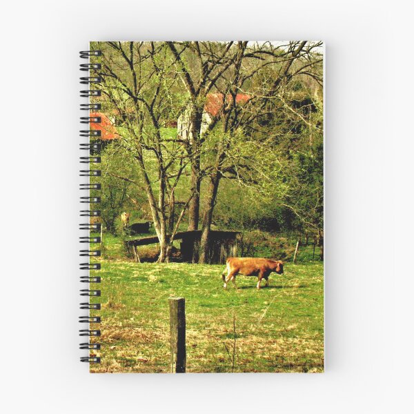 Item preview, "Slow... but Sure," Photo, for prints and products designed and sold by Bob Hall©.