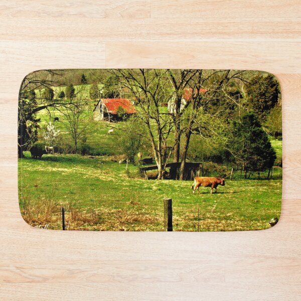 Item preview, "Slow... but Sure," Photo, for prints and products designed and sold by Bob Hall©.