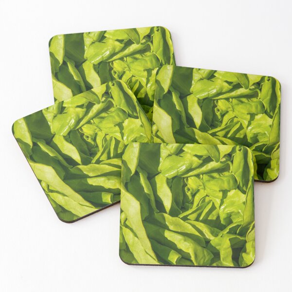Item preview, Green round lettuce, Lactuca sativa. Close up. designed and sold by Andy Chisholm.