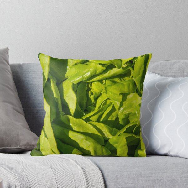 Item preview, Green round lettuce, Lactuca sativa. Close up. designed and sold by Andy Chisholm.