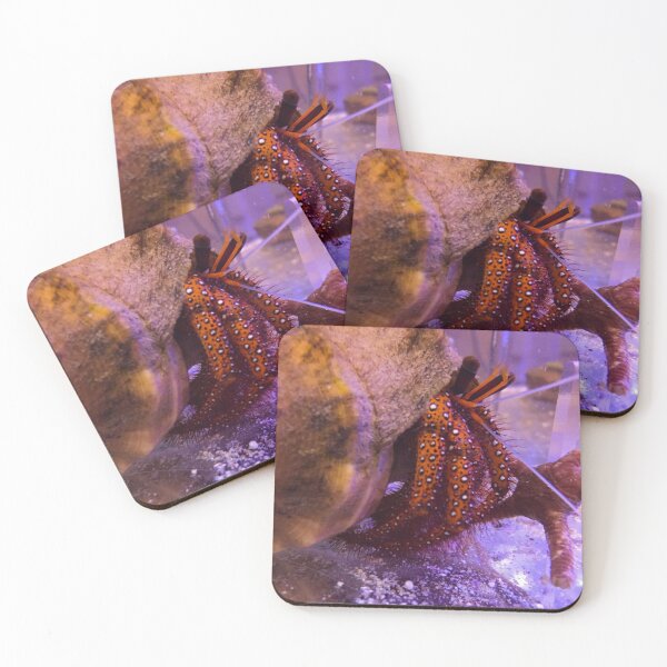 Item preview, Spotted red Hermit crab designed and sold by buzzmarshall.
