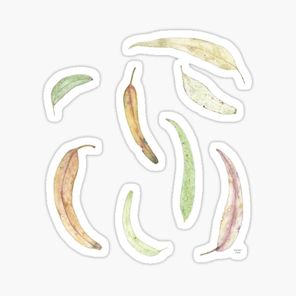 Item preview, Fallen Eucalyptus Gum Leaves designed and sold by WinterOwls.