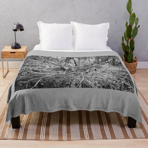 Item preview, Ettrick Valley Woodland designed and sold by Rob Cole Photography.