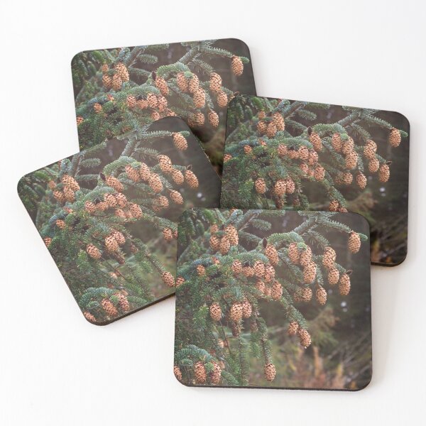 Item preview, Ettrick Valley Woodland, Pine Cones designed and sold by Rob Cole Photography.