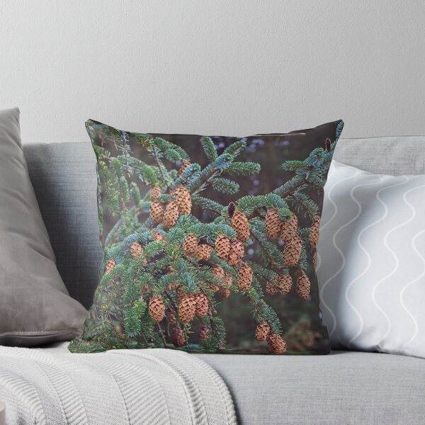 Item preview, Ettrick Valley Woodland, Pine Cones designed and sold by Rob Cole Photography.
