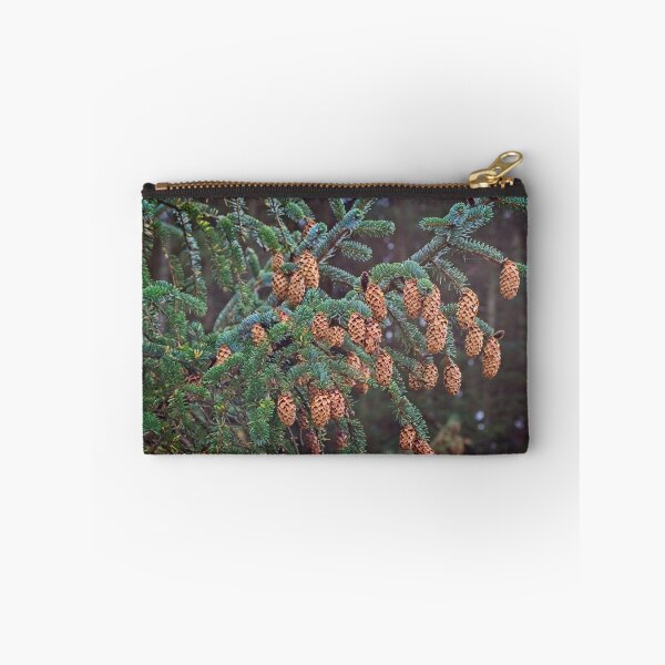 Item preview, Ettrick Valley Woodland, Pine Cones designed and sold by Rob Cole Photography.