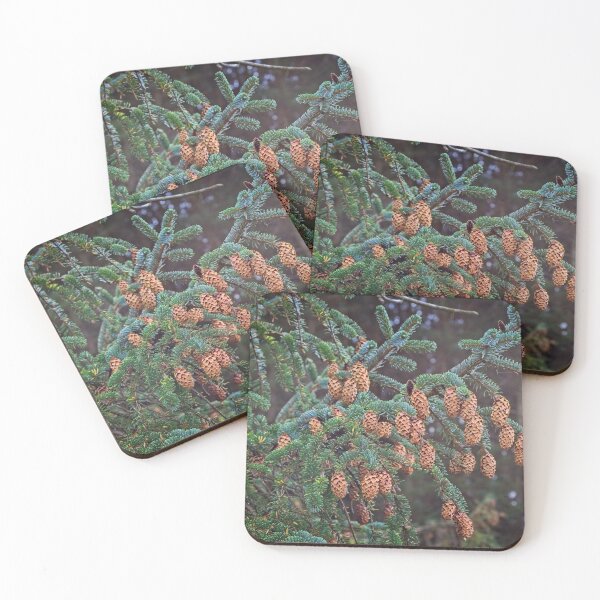 Item preview, Ettrick Valley Woodland, Pine Cones designed and sold by Rob Cole Photography.