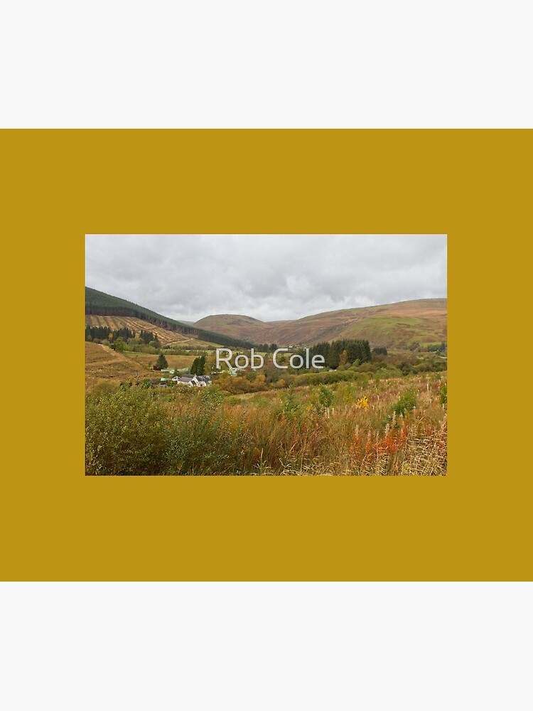 Ettrick Valley Landscapes, Scottish Borders by robcole