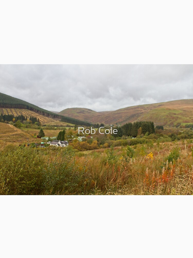 Ettrick Valley Landscapes, Scottish Borders by robcole