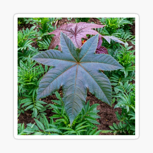 Item preview, Green leaf designed and sold by iCimages.net.