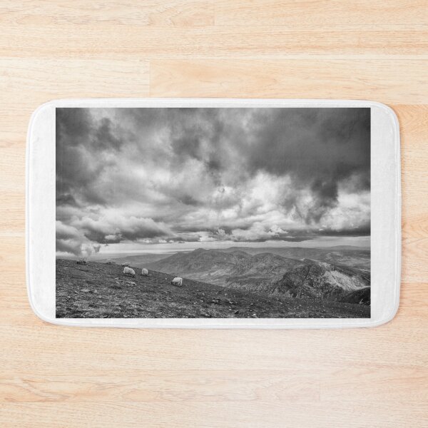 Item preview, Mourne Mountain Sheep designed and sold by Nigel R Bell Photography.