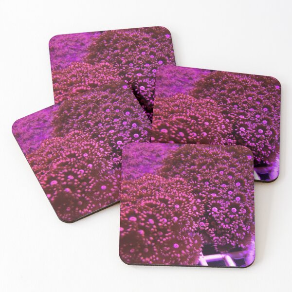 Item preview, Pink Goniopora Coral designed and sold by buzzmarshall.