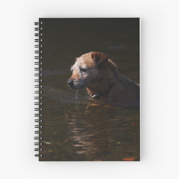 Item preview, Border terrier in river designed and sold by turniptowers.