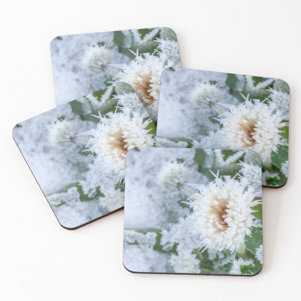 Item preview, Daisy flower frozen in winter snow and ice designed and sold by simonbratt.