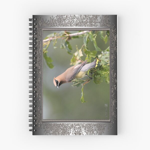 Item preview, Cedar Waxwing designed and sold by JMcCombie.