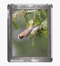 Cedar Waxwing iPad Case/Skin
