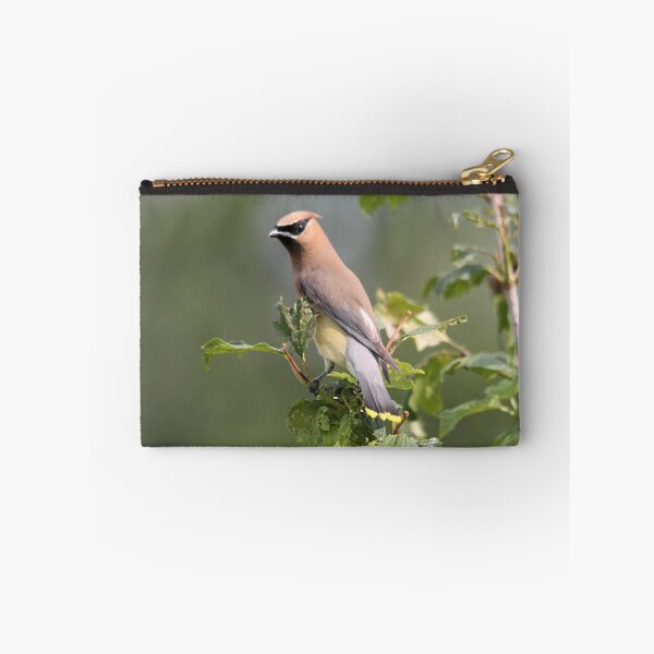 Item preview, Cedar Waxwing designed and sold by JMcCombie.