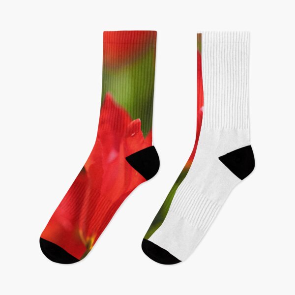 Item preview, Red Tulips designed and sold by Yannik Hay.