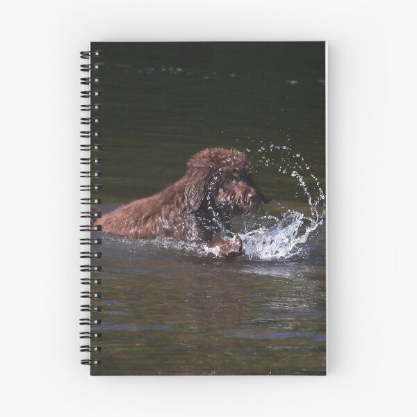 Item preview, Cockerpoo in water designed and sold by turniptowers.