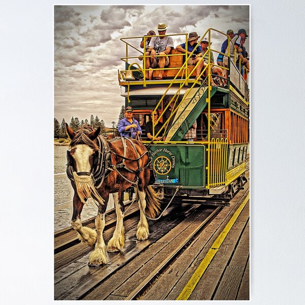 Item preview, The Horses Are On The Track designed and sold by TonyCrehan.