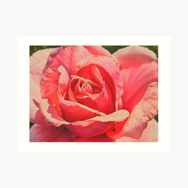 Rose Impression artistique