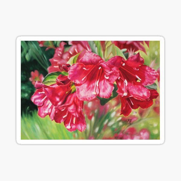Weigela du jardin Sticker