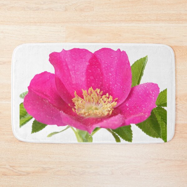 Item preview, Rosa rugosa  Hedgerow rose  designed and sold by Chris Burrows.